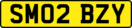 SM02BZY