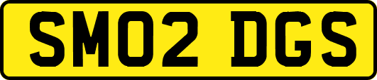 SM02DGS