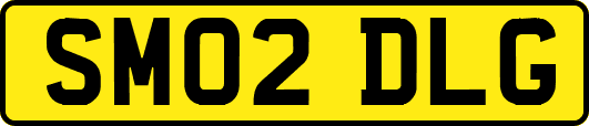 SM02DLG