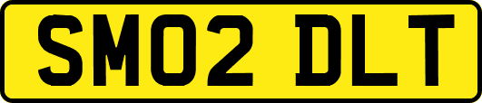 SM02DLT