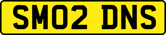 SM02DNS