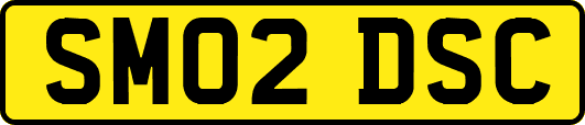 SM02DSC
