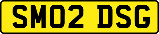 SM02DSG