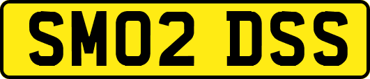 SM02DSS