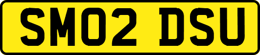 SM02DSU