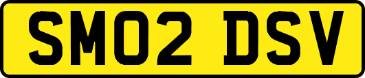 SM02DSV
