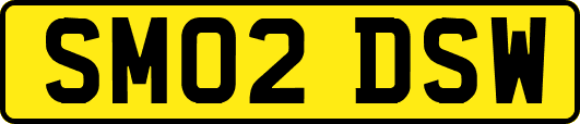 SM02DSW