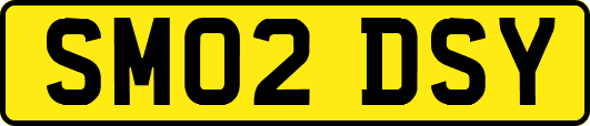 SM02DSY