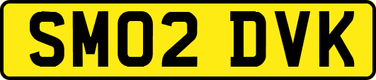 SM02DVK