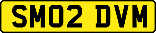 SM02DVM