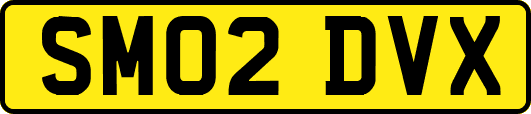 SM02DVX