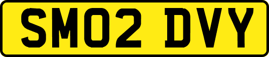 SM02DVY