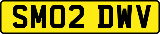 SM02DWV