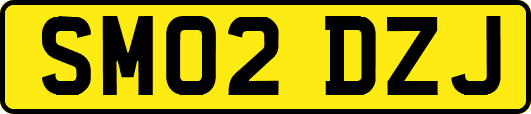 SM02DZJ