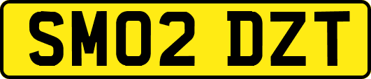 SM02DZT