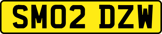 SM02DZW