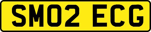 SM02ECG