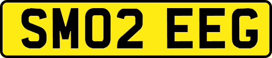 SM02EEG