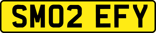 SM02EFY
