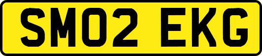 SM02EKG