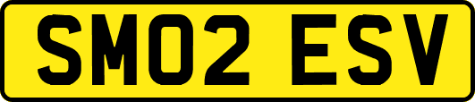 SM02ESV