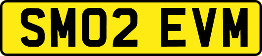 SM02EVM