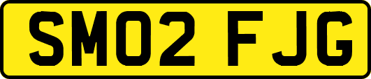 SM02FJG