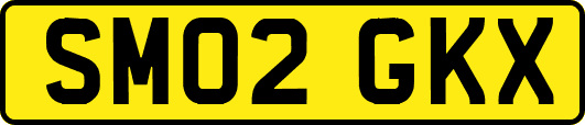 SM02GKX