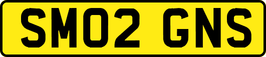 SM02GNS