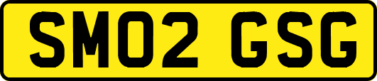SM02GSG