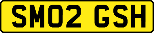 SM02GSH