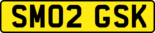 SM02GSK