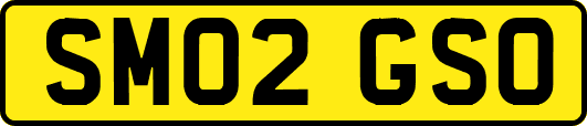 SM02GSO