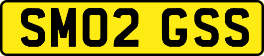 SM02GSS