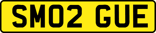 SM02GUE