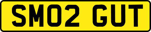 SM02GUT