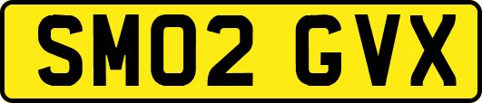 SM02GVX