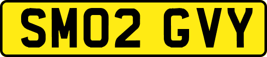 SM02GVY