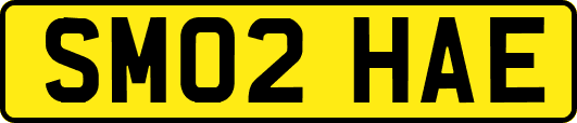 SM02HAE