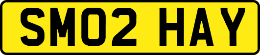 SM02HAY