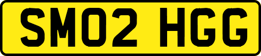 SM02HGG