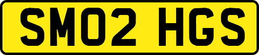 SM02HGS