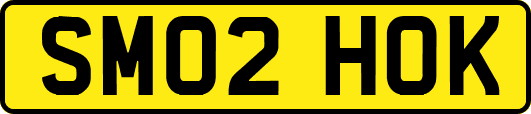 SM02HOK