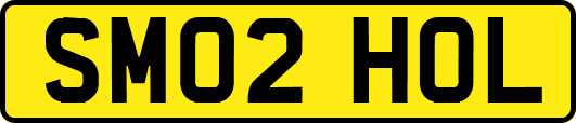 SM02HOL