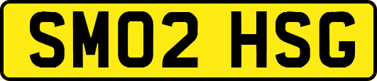 SM02HSG