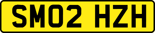 SM02HZH