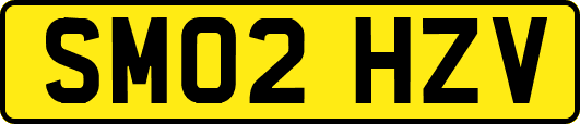 SM02HZV