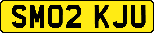 SM02KJU
