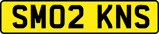 SM02KNS