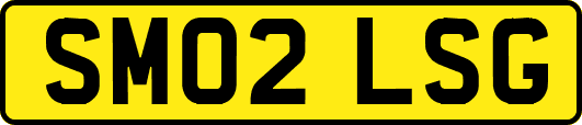 SM02LSG